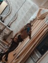 Фотография №3396067