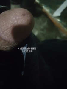Жиголо Жезказгана Анкета №491228 Фотография №3706160
